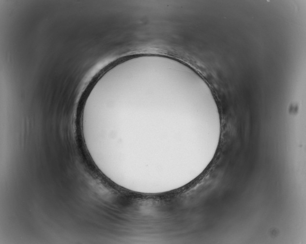 X0000100980200200807151423