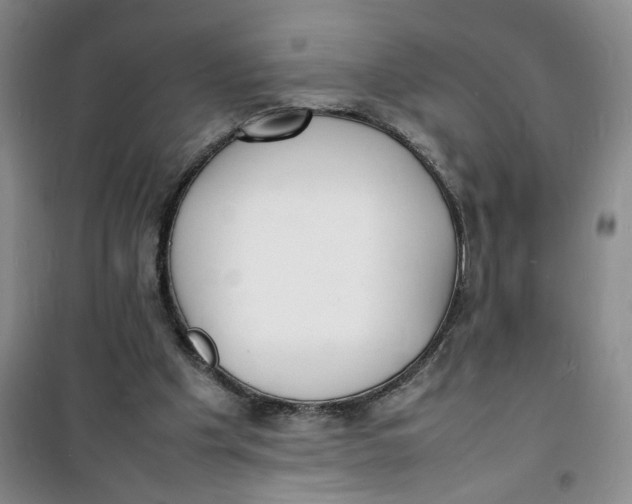 X0000100980201200807151423