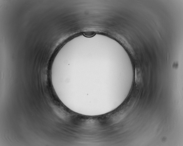 X0000100980204200807151423