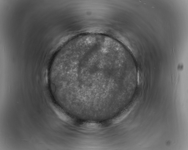 X0000100980205200807151423