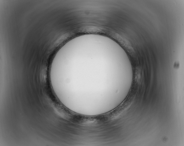 X0000100980206200807151423