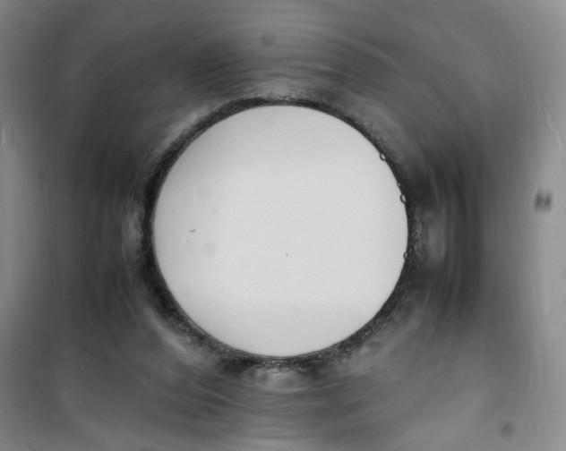 X0000100980208200807151423