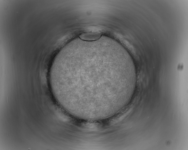 X0000100980209200807151423