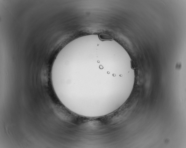 X0000100980210200807151423