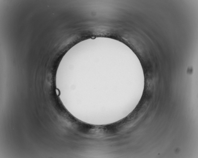 X0000100980211200807151423