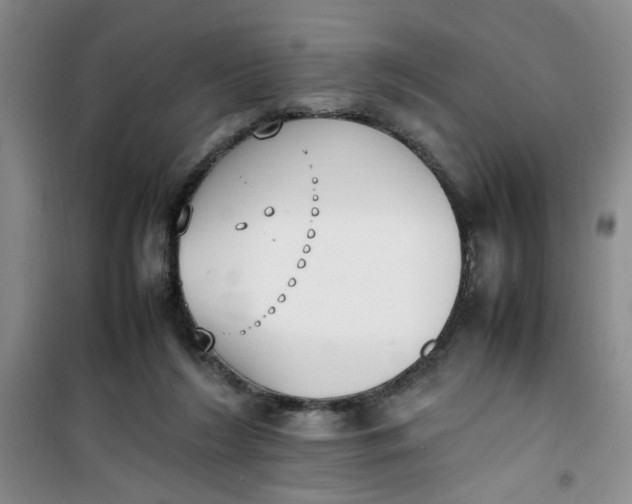 X0000100980212200807151423