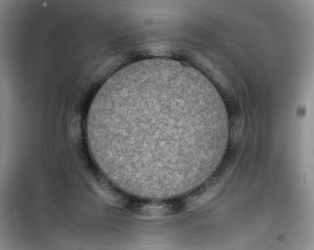 X0000100980213200807151423