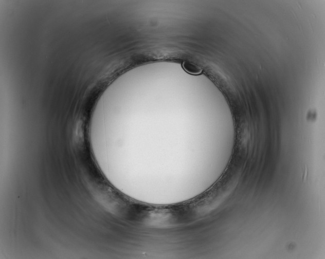 X0000100980214200807151423