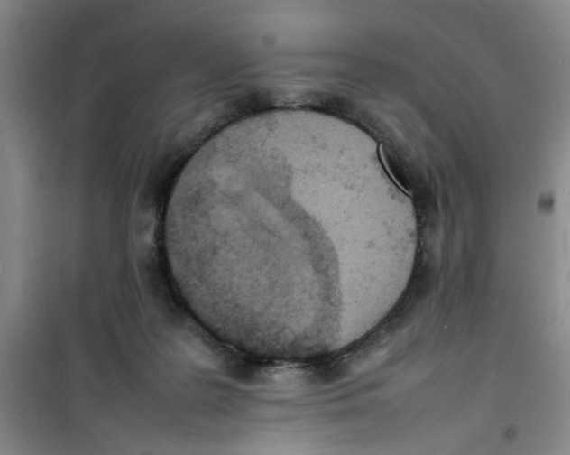 X0000100980219200807151423