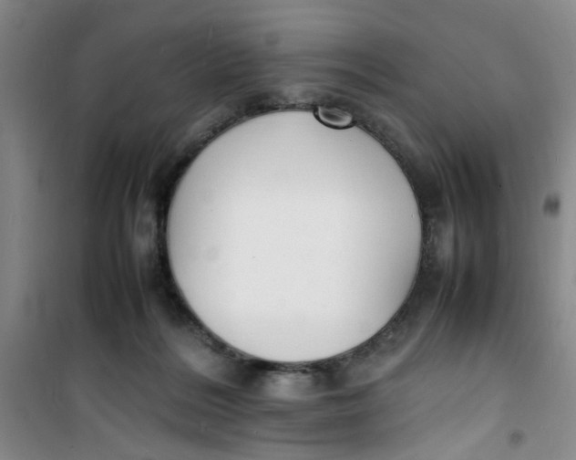 X0000100980220200807151423