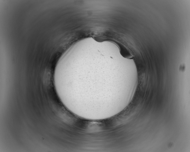 X0000100980222200807151423