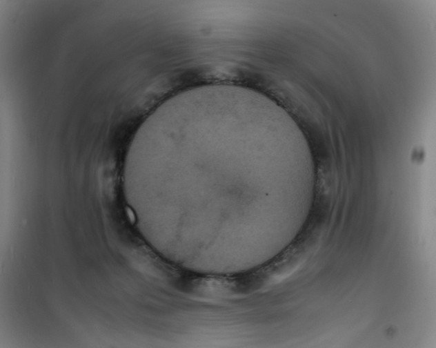 X0000100980223200807151423