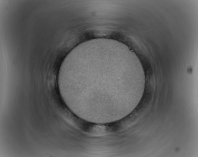 X0000100980227200807151423