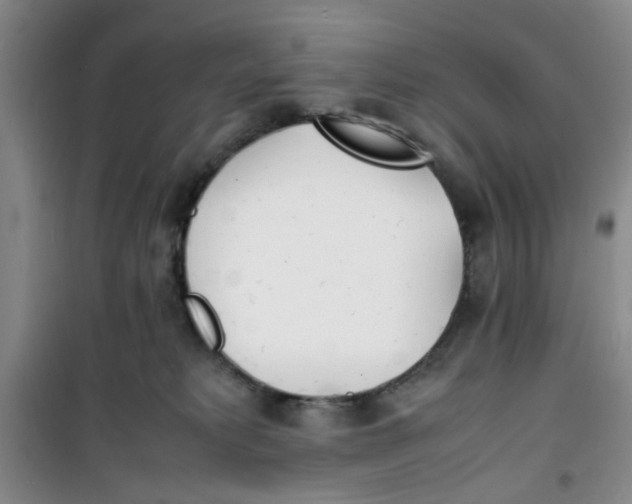 X0000100980229200807151423