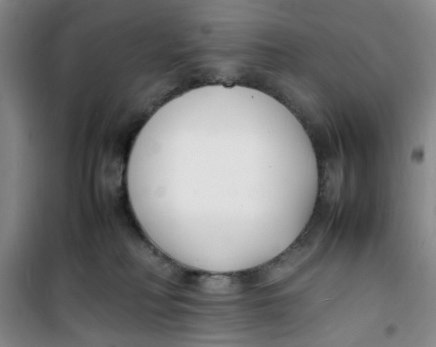 X0000100980230200807151423