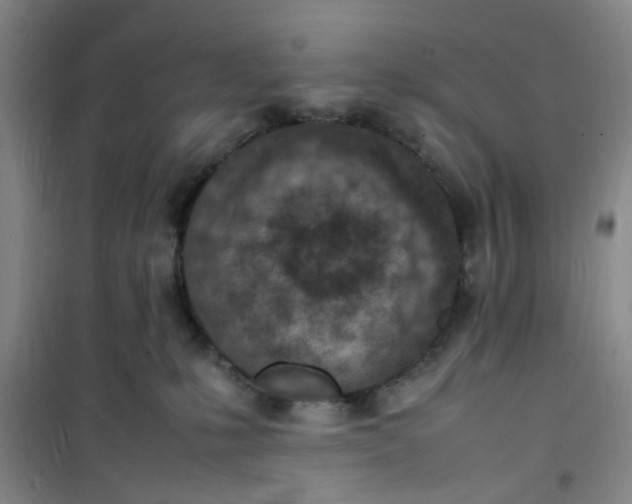 X0000100980231200807151423