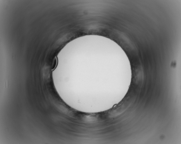 X0000100980232200807151423