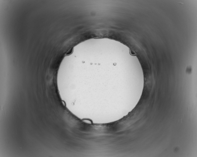 X0000100980233200807151423