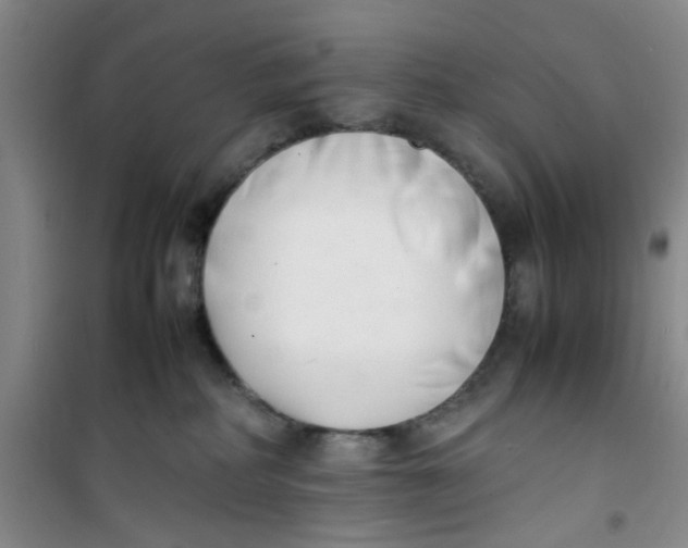 X0000100980234200807151423