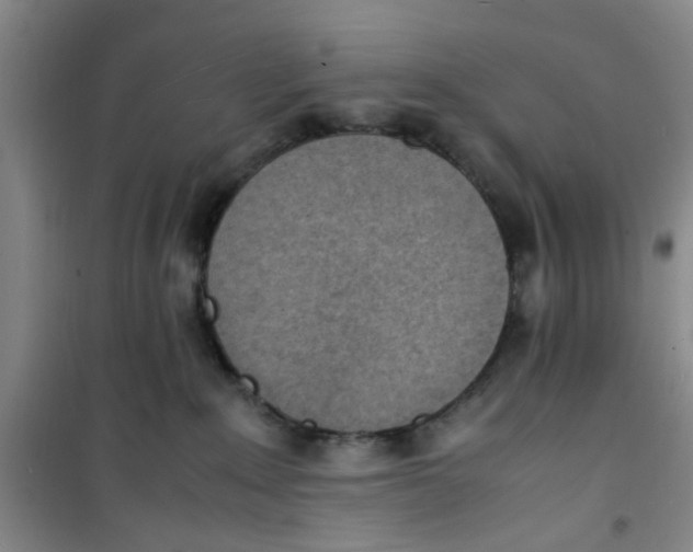 X0000100980235200807151423