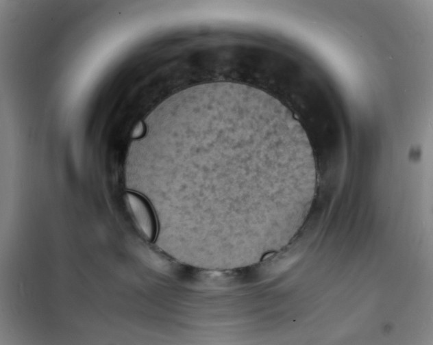 X0000100980239200807151423