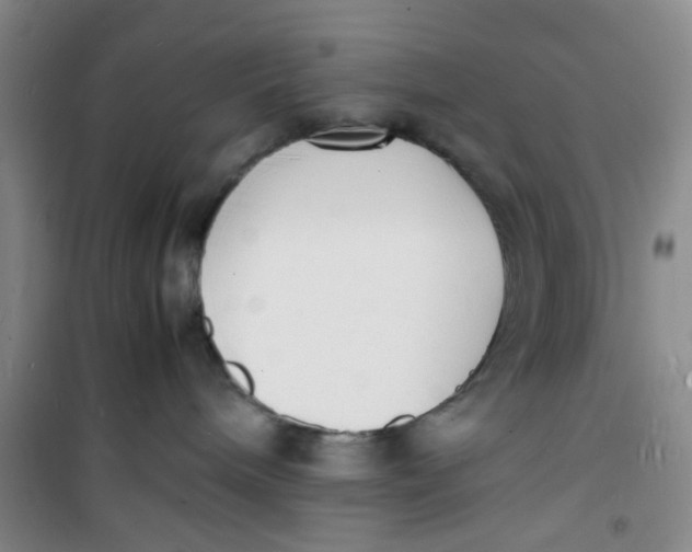 X0000100980240200807151422