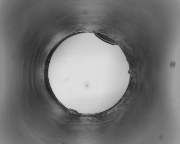 X0000100980242200807151422