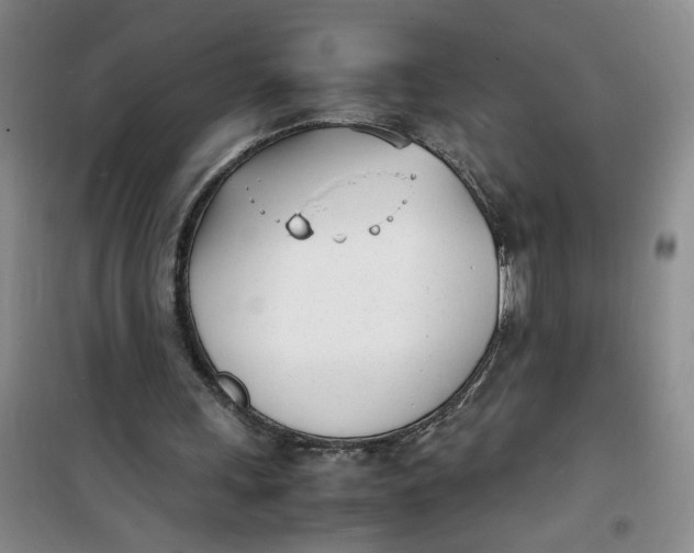 X0000100980243200807151422