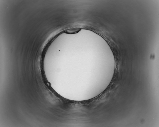 X0000100980244200807151422