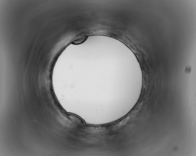 X0000100980245200807151422