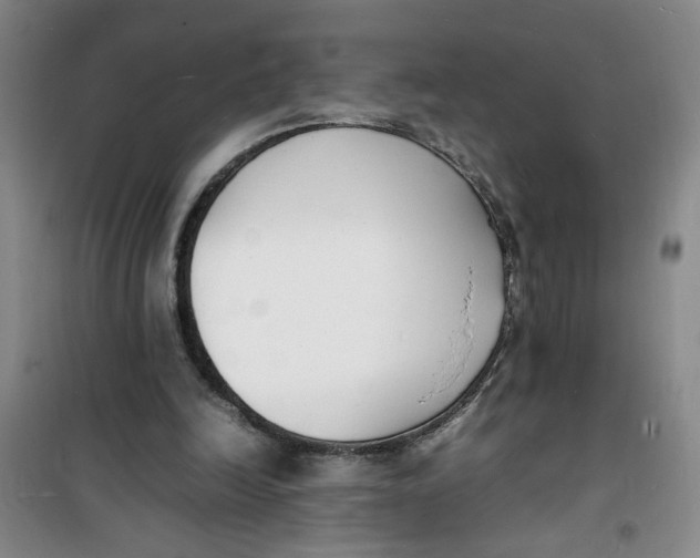 X0000100980246200807151422