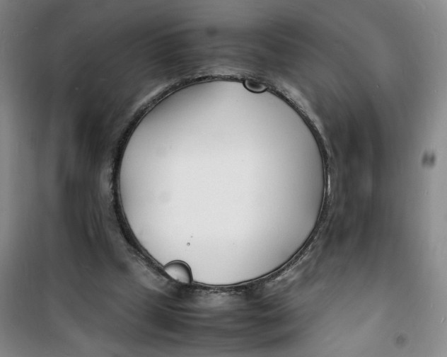 X0000100980249200807151422