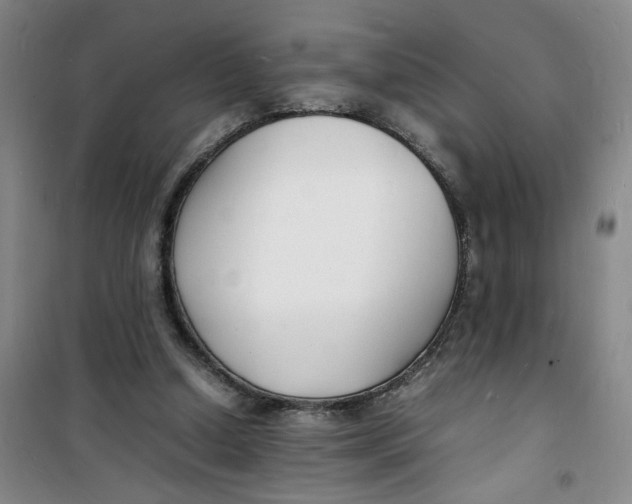 X0000100980250200807151422