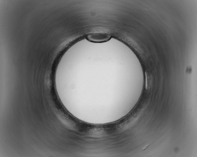 X0000100980252200807151422