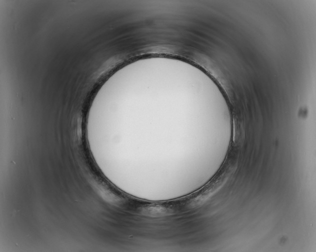 X0000100980253200807151422