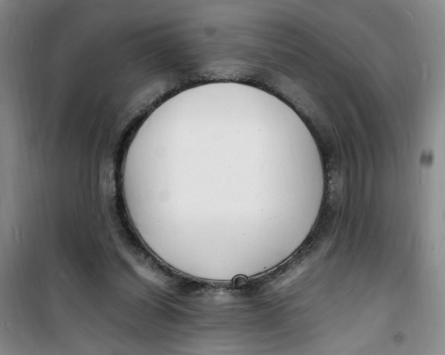 X0000100980254200807151422