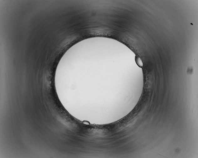 X0000100980255200807151422