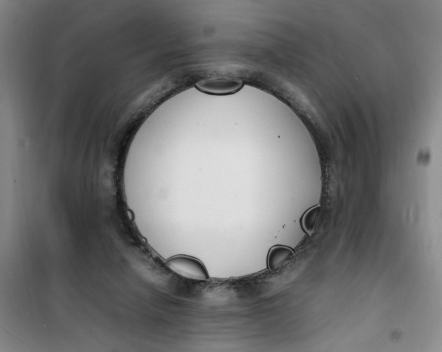 X0000100980258200807151422