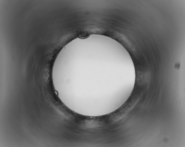 X0000100980259200807151422