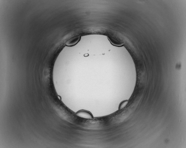 X0000100980260200807151422