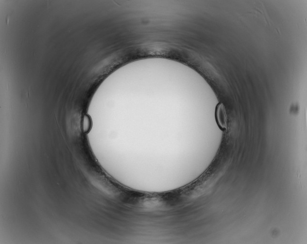 X0000100980262200807151422