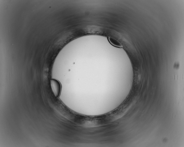 X0000100980263200807151422