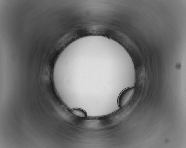 X0000100980266200807151422