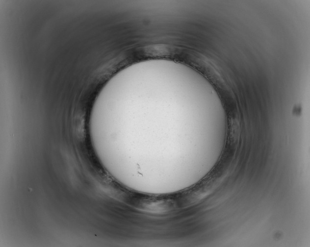 X0000100980267200807151422