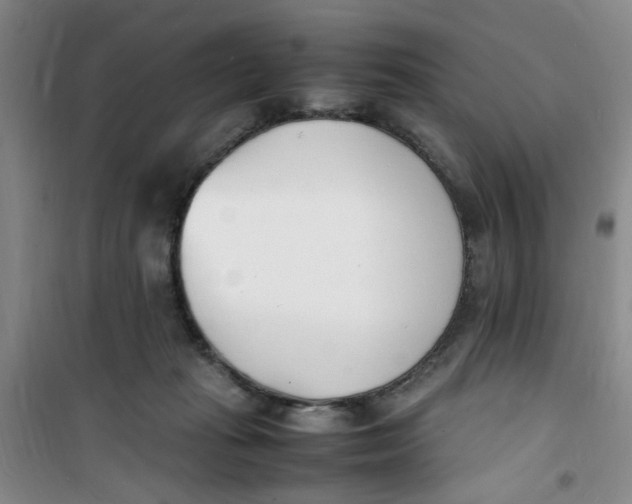 X0000100980269200807151422