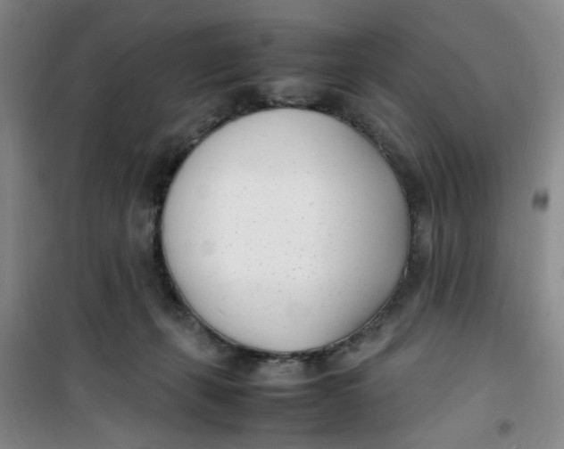 X0000100980271200807151422