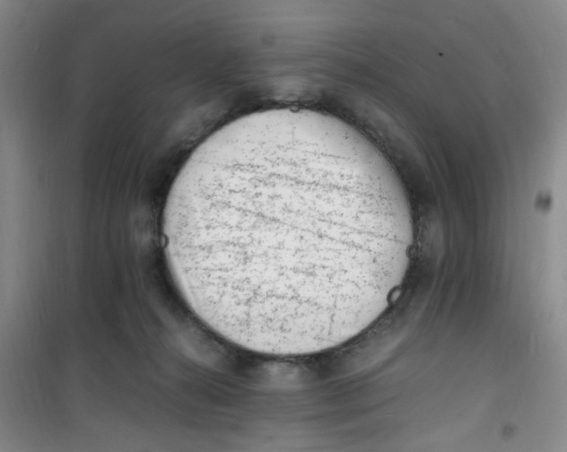 X0000100980272200807151422