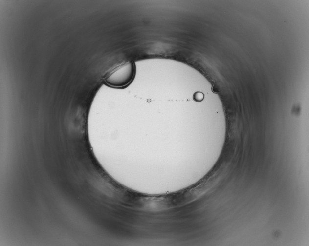 X0000100980273200807151422