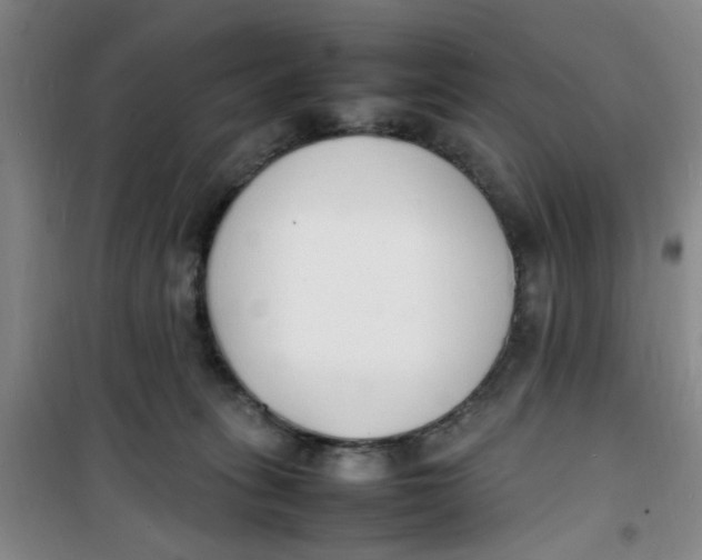 X0000100980275200807151422