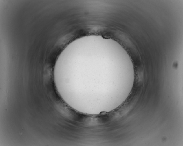 X0000100980276200807151422